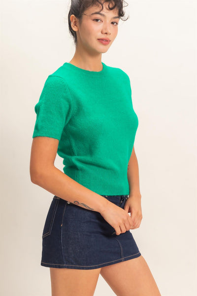 Crew Neck Short Sleeve Knit Top