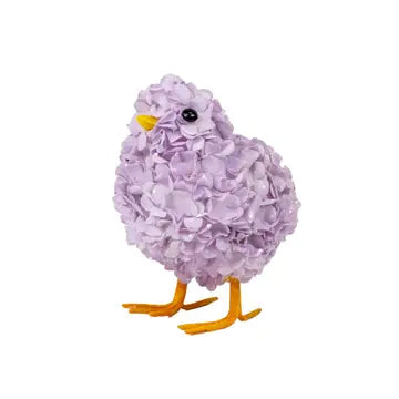Hydrangea Chick Purple 3x4x2.5