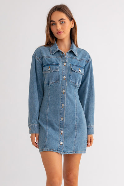 Fitted Denim Button Down Dress