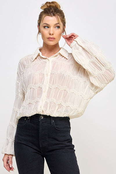 Sheer Long Sleeve Chevron Textured Blouse
