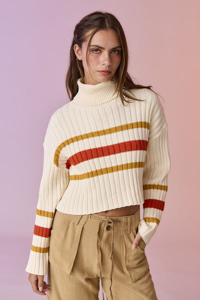 Turtle Neck Stripe Knit Crop Top