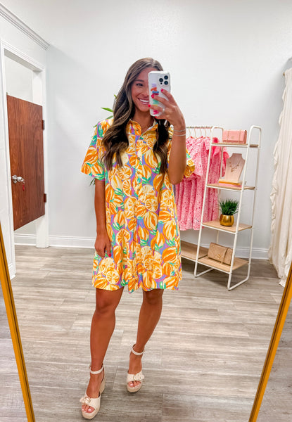 Fruit Print Poplin Collared A-line Dress