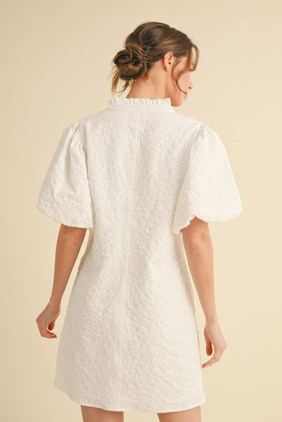 Textured Puffed Sleeve Dress w/ Pockets