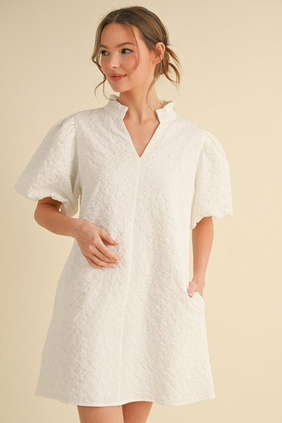 Textured Puffed Sleeve Dress w/ Pockets