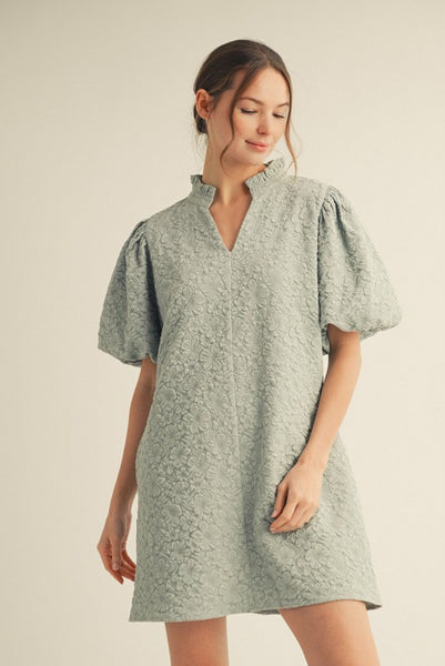 Textured Puffed Sleeve Dress w/ Pockets