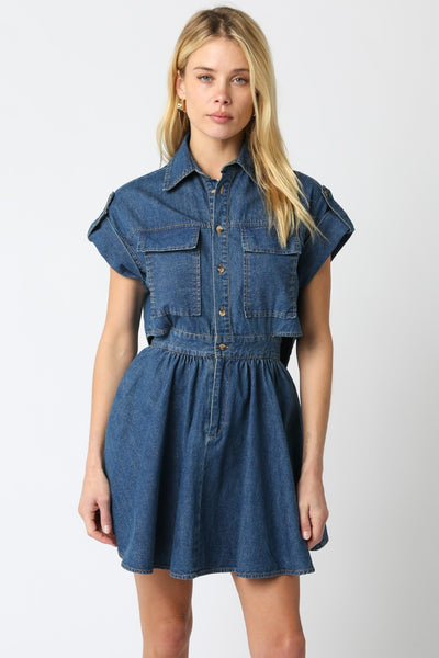Button Down Denim Dress