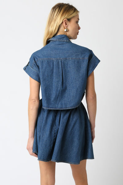 Button Down Denim Dress