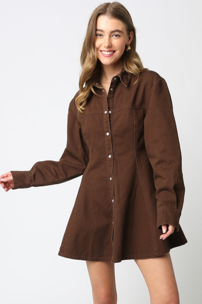 Button Down Flared Hem Mini Dress