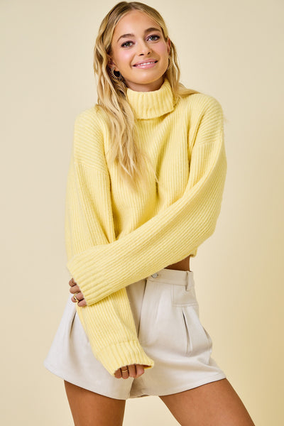 Cropped Turtleneck Ribbed Knit Sweater