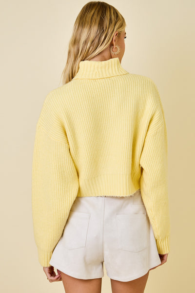 Cropped Turtleneck Ribbed Knit Sweater
