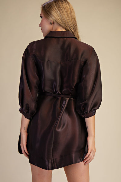 Puff Sleeve Waist Tie Shirt Mini Dress