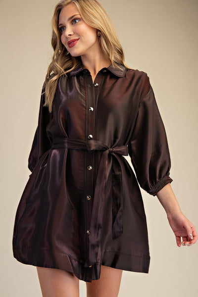 Puff Sleeve Waist Tie Shirt Mini Dress