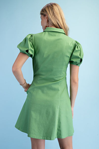A-Line Mini Collared Dress