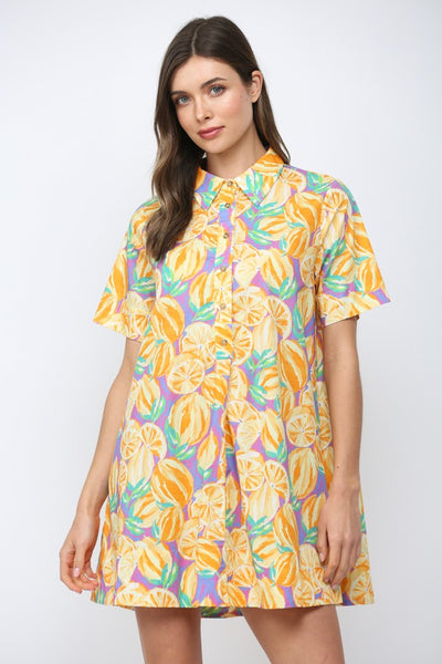 Fruit Print Poplin Collared A-line Dress