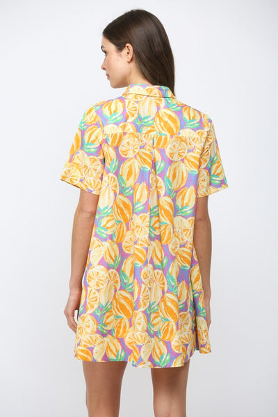 Fruit Print Poplin Collared A-line Dress