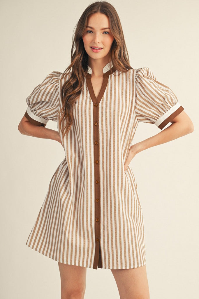 Button Down Stripe Shift Dress