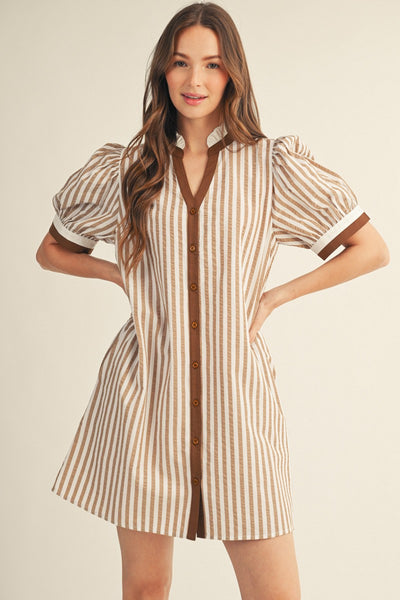 Button Down Stripe Shift Dress