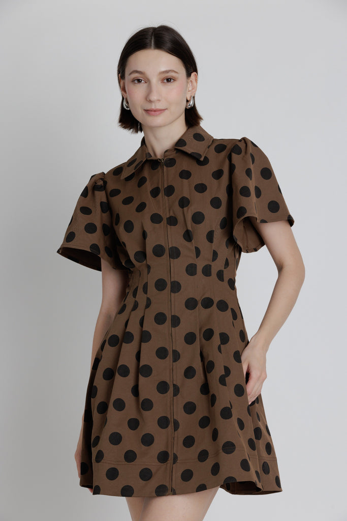 Polka Dot Collared Utility Dress