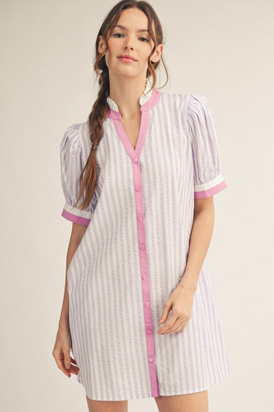 Button Down Stripe Shift Dress