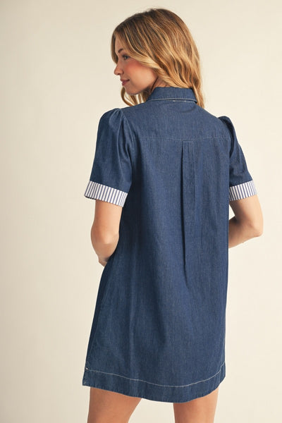 Stripe Contrast Accent Denim Shirt Dress