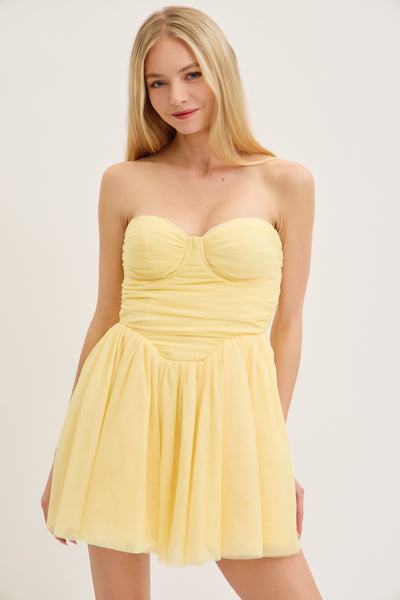 Bustier Top Shirred Mesh Mini Dress