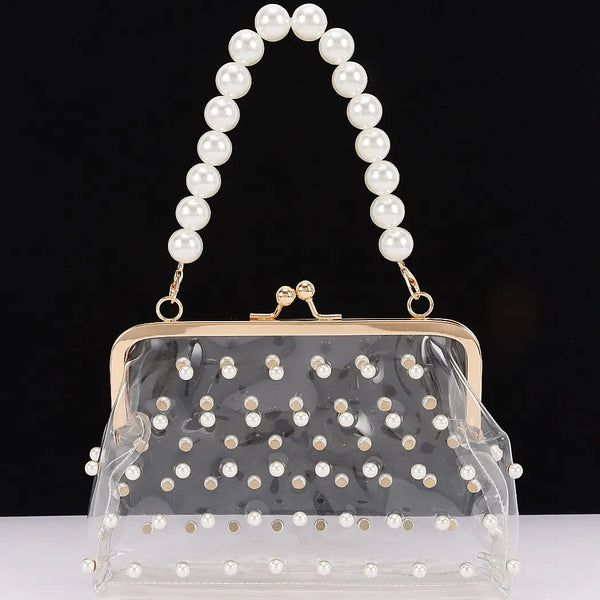 Clear Mini Purse Clutch