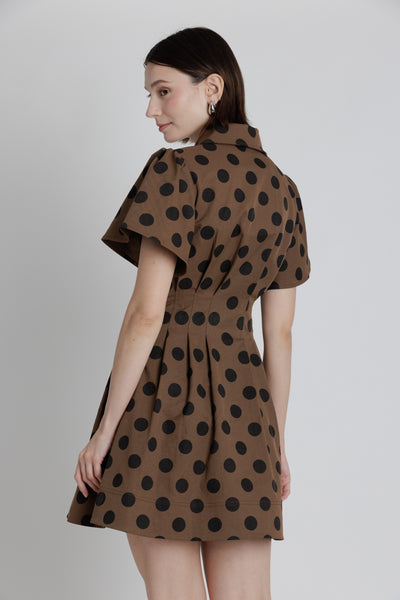 Polka Dot Collared Utility Dress