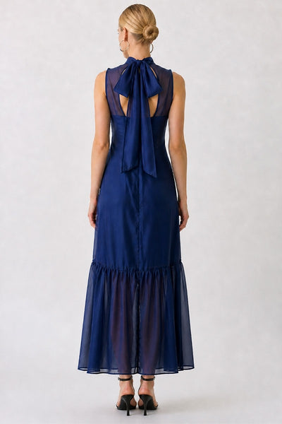 Soft Organza Mock Neck Maxi Dress