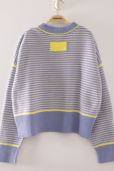 Contrast Trim Detailed Relaxed Fit Sweater