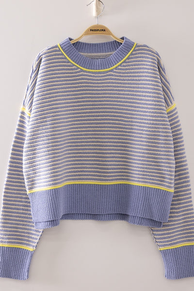 Contrast Trim Detailed Relaxed Fit Sweater