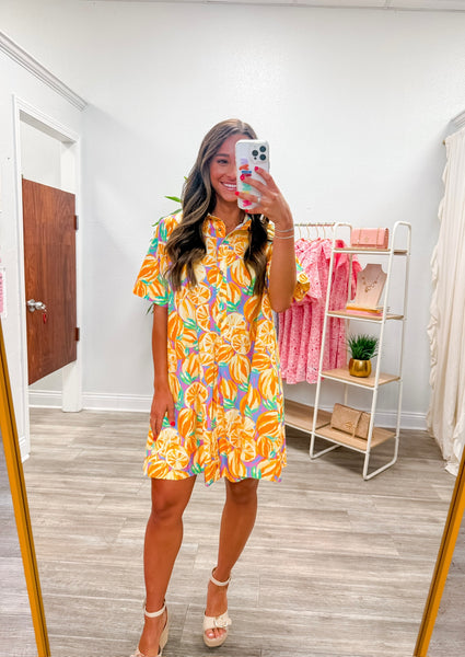Fruit Print Poplin Collared A-line Dress