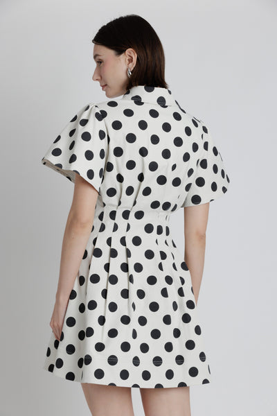 Polka Dot Collared Utility Dress