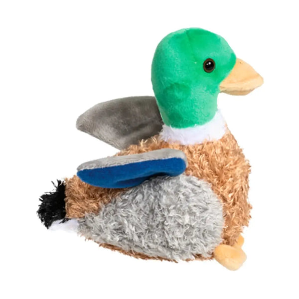 Mallard Duck (with Sound)