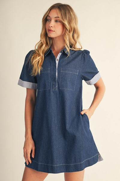 Stripe Contrast Accent Denim Shirt Dress