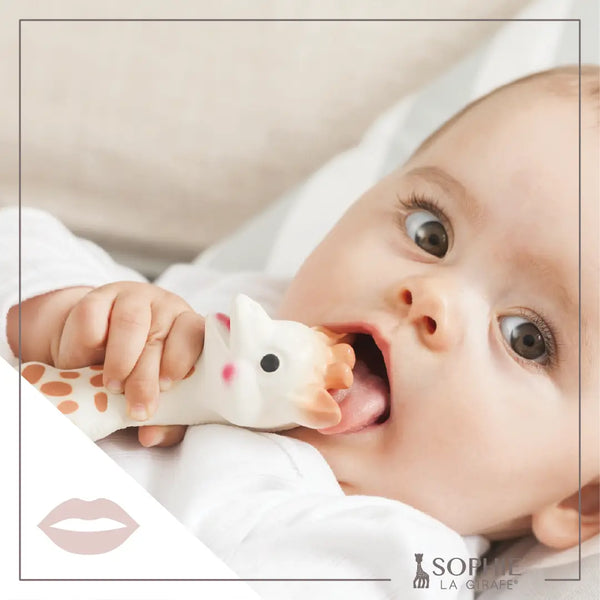 Sophie La Girafe White Box