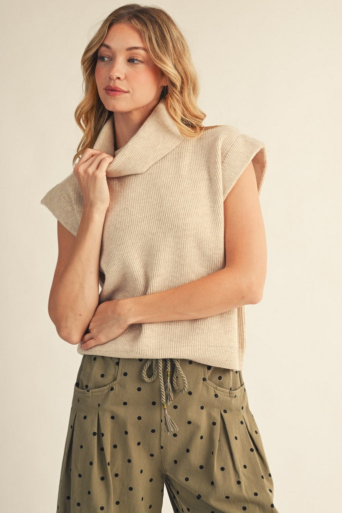 Turtle Neck Comfy Sweater Top