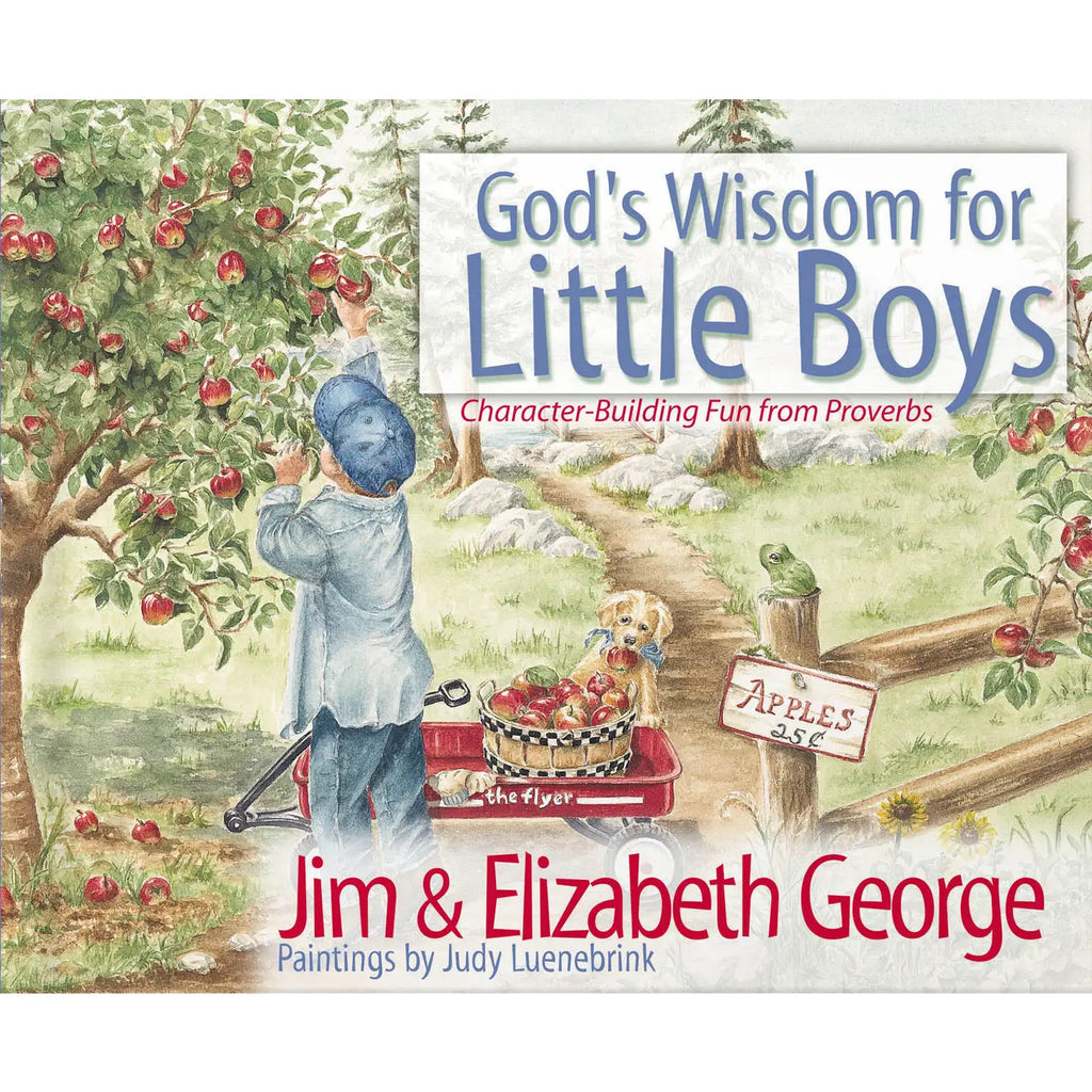 God's Wisdom For Little Boys Book