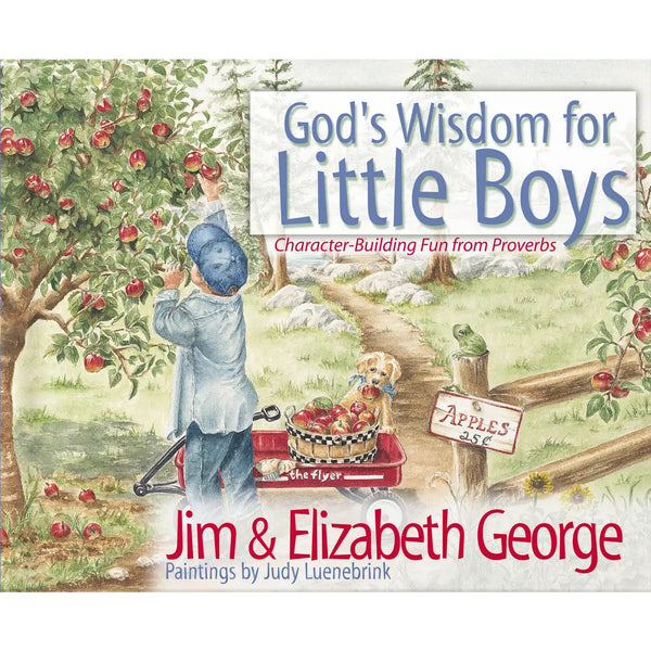 God's Wisdom For Little Boys Book