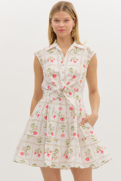 Floral Print Sleeveless Mini Dress