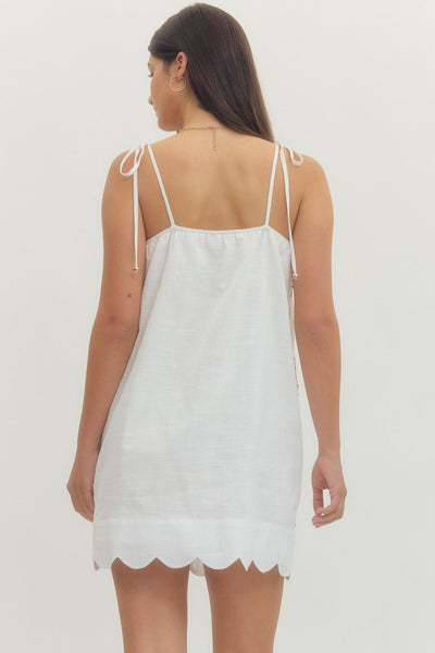 Floral Embroidered Sleeveless Mini Dress