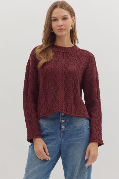 Long Sleeve Textured Cable Knit Top