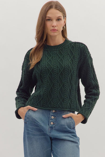 Long Sleeve Textured Cable Knit Top