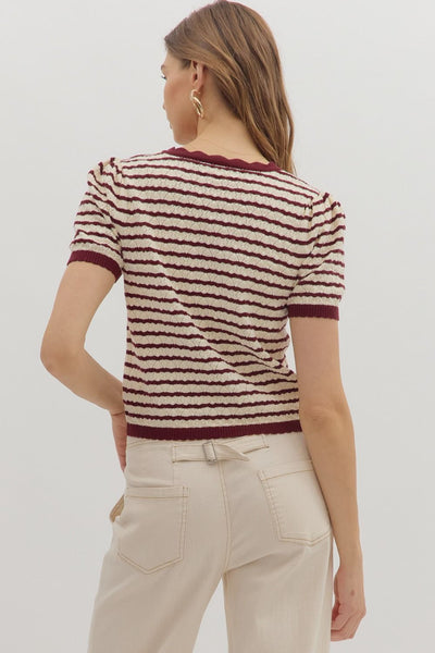 Striped Pointelle Sweater Knit Top